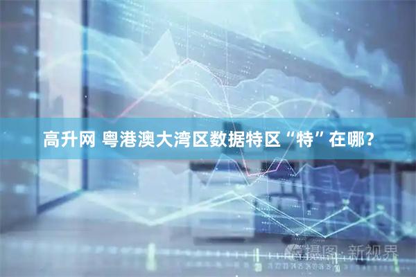 高升网 粤港澳大湾区数据特区“特”在哪？