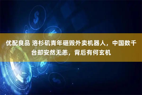优配良品 洛杉矶青年砸毁外卖机器人，中国数千台却安然无恙，背后有何玄机