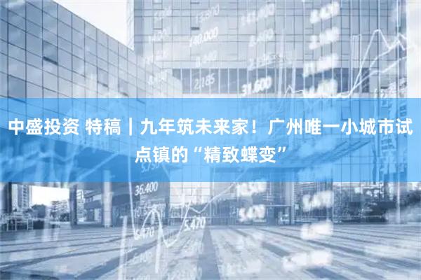 中盛投资 特稿｜九年筑未来家！广州唯一小城市试点镇的“精致蝶变”