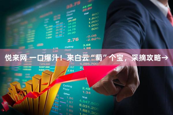 悦来网 一口爆汁！来白云“萄”个宝，采摘攻略→